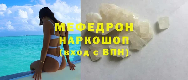 индика Переславль-Залесский
