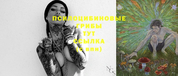 PSILOCYBIN Верхний Тагил