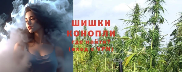 ALPHA PVP Осинники