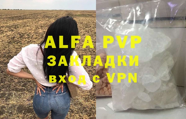 индика Переславль-Залесский