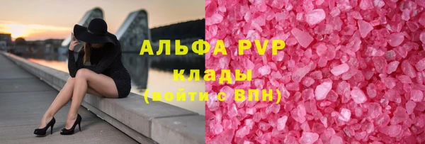 стаф Осташков