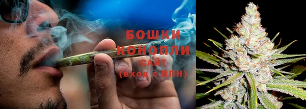 индика Переславль-Залесский