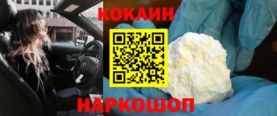 гидра Гатчина