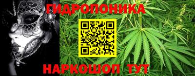 дживик Бийск