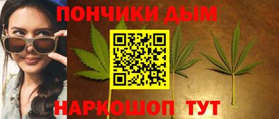 гидра Гатчина