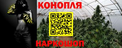 дживик Бийск