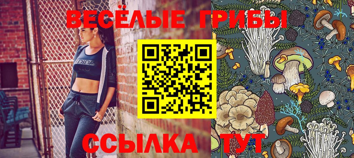 Галлюциногенные грибы Psilocybe Усолье-Сибирское