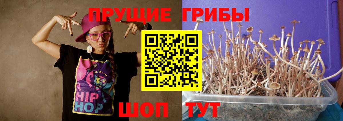 Галлюциногенные грибы мухоморы  наркошоп  Усолье-Сибирское  Вход с VPN 